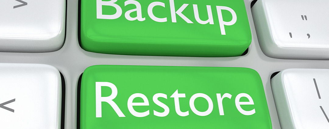 Backing up and Restoring Large WordPress Databases