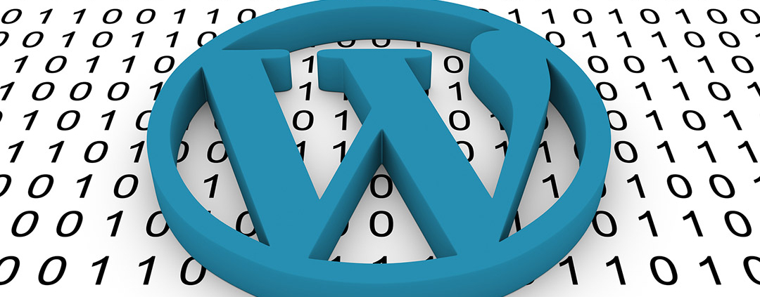 4 Crucial Things You Need To Know When Using WordPress